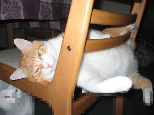 瑞士军刀出鞘时，当德里赫特在欧冠半决赛接管比赛