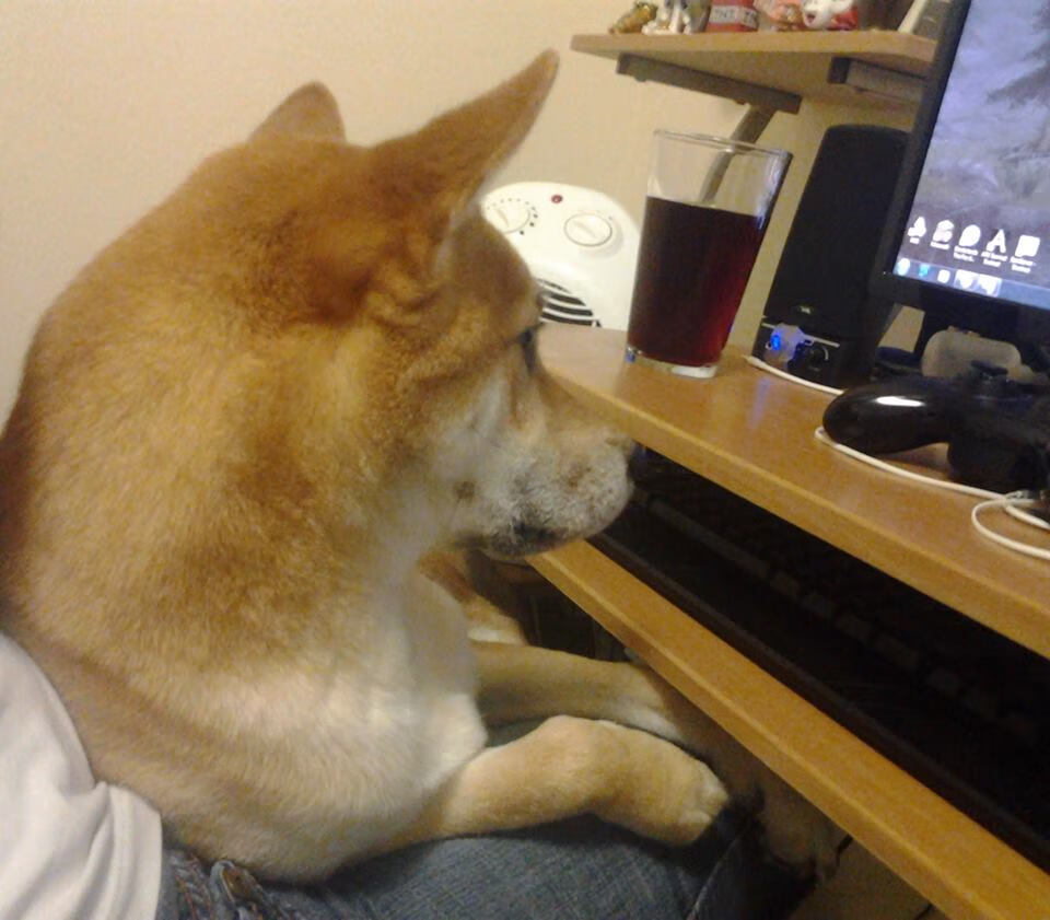 东西方篮球同日巅峰，勇士击溃浙江，马克西东决封神