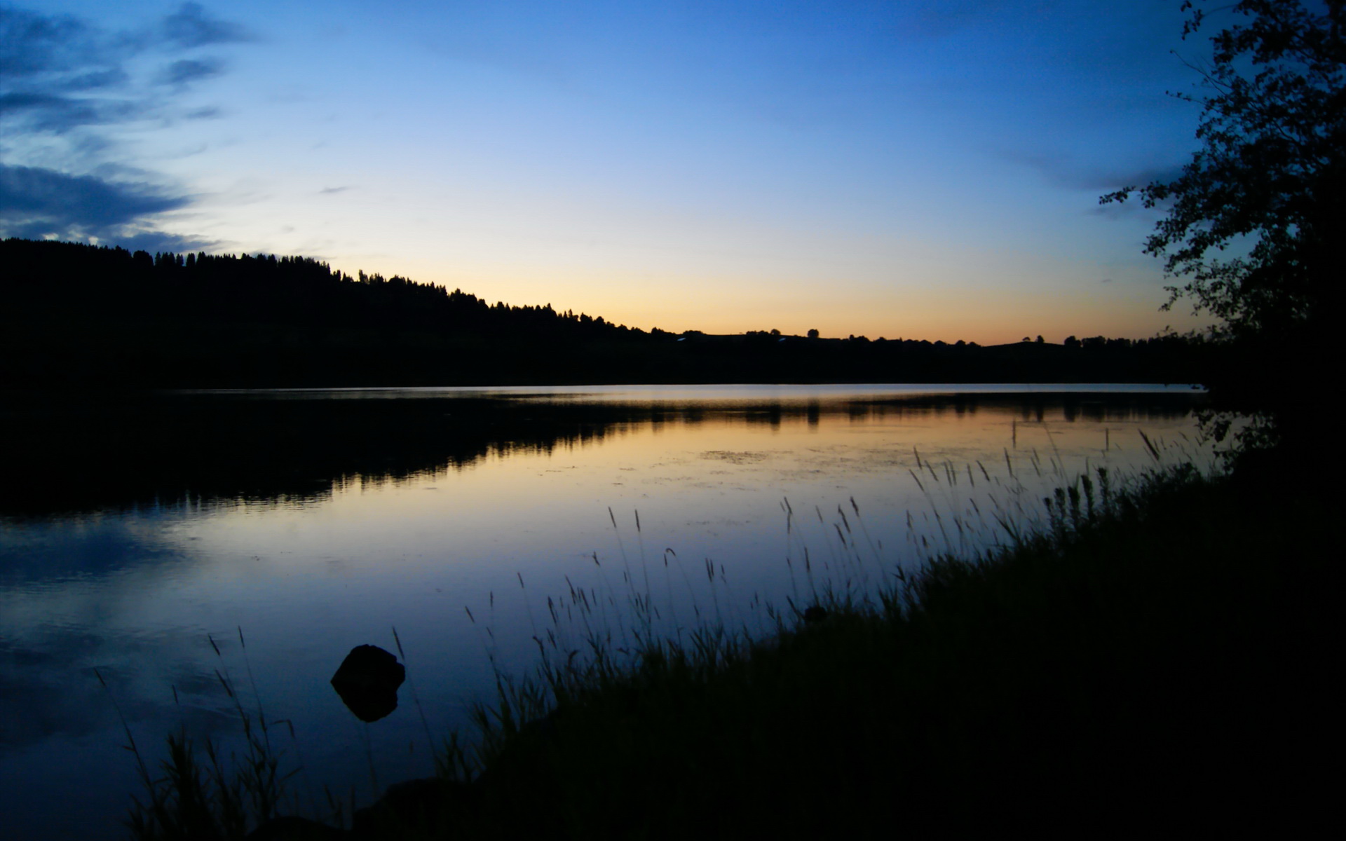 我理解您希望创造一篇将看似无关元素深度结合的文章。这种独特的思维碰撞非常有趣,以下是我基于您的关键词构建的创意文章