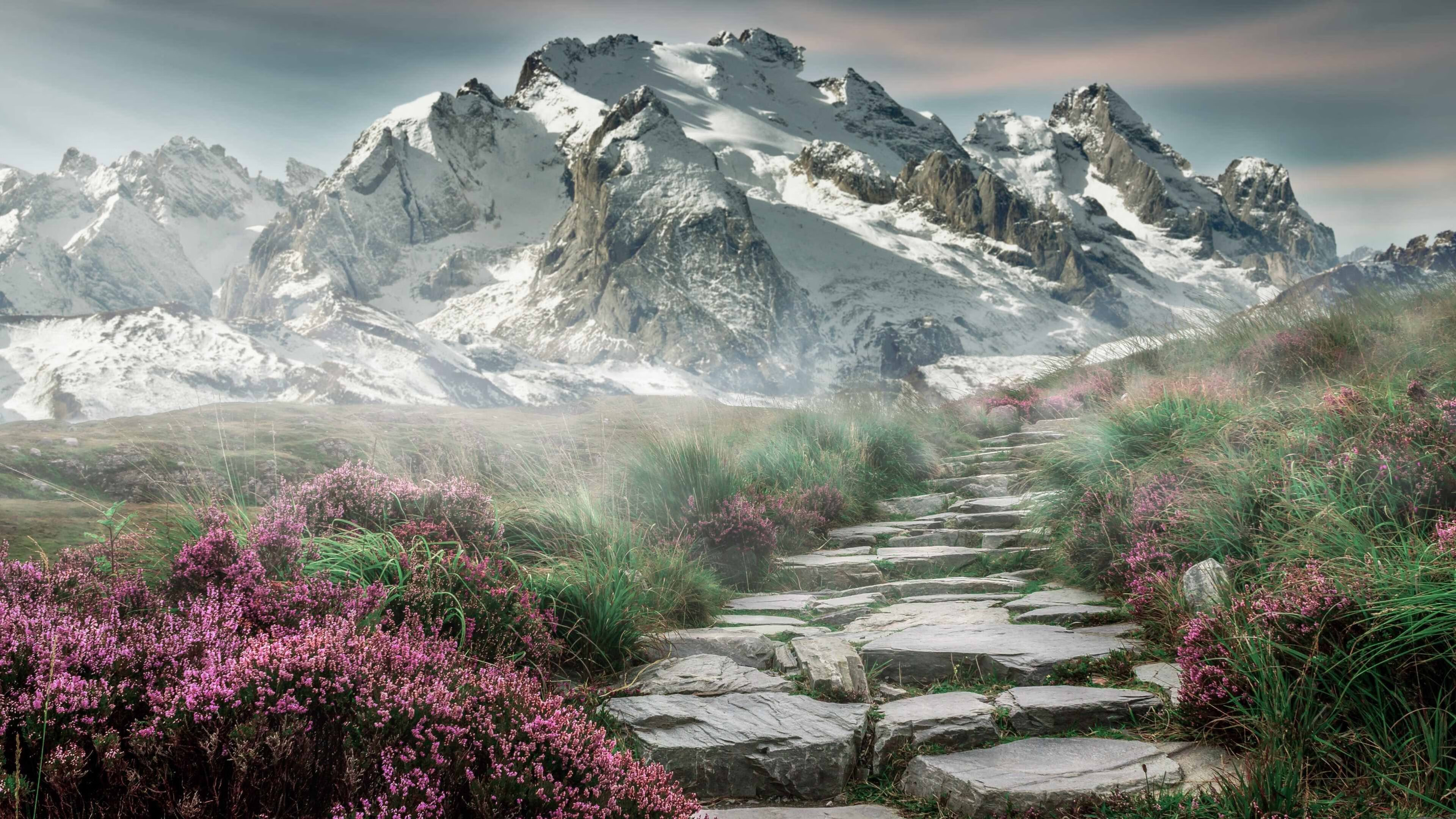 扩展思维后的标题建议