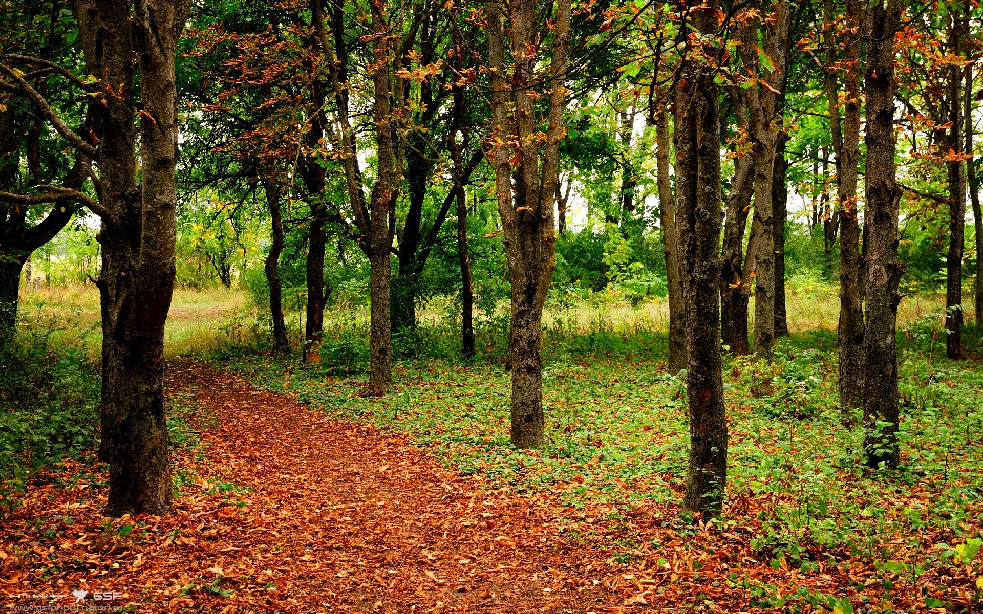 小国大智慧，哥斯达黎加用战术铁网绞杀英格兰，门神纳瓦斯关键回合从不手软
