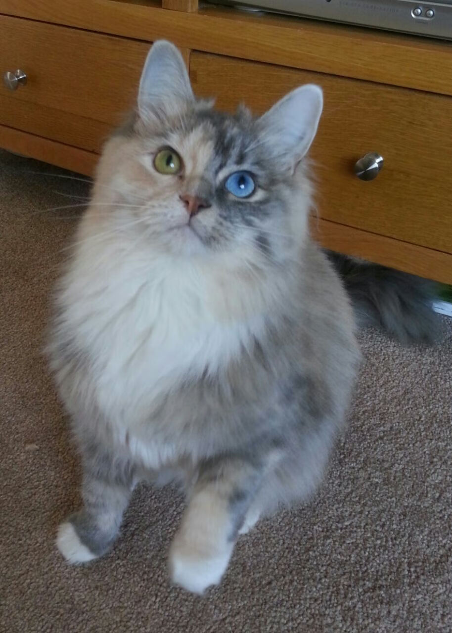 2026世界杯焦点战，广东队跨界击败76人，篮球盛宴震撼全球