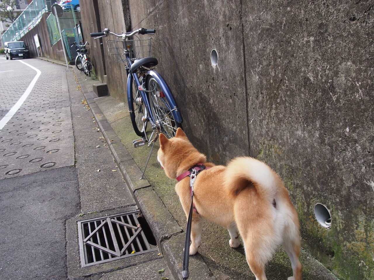 巴黎不眠夜！姆巴佩弑杀旧主，唯一的神，从不手软