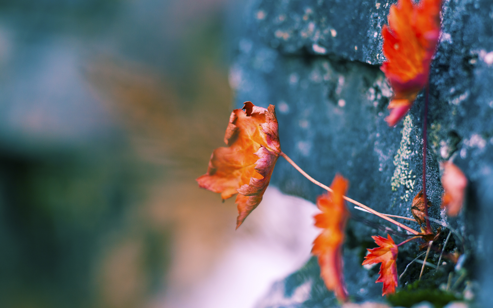 冠军的叹息，拉亚神级扑救难阻瑞典粉碎机碾过墨西哥