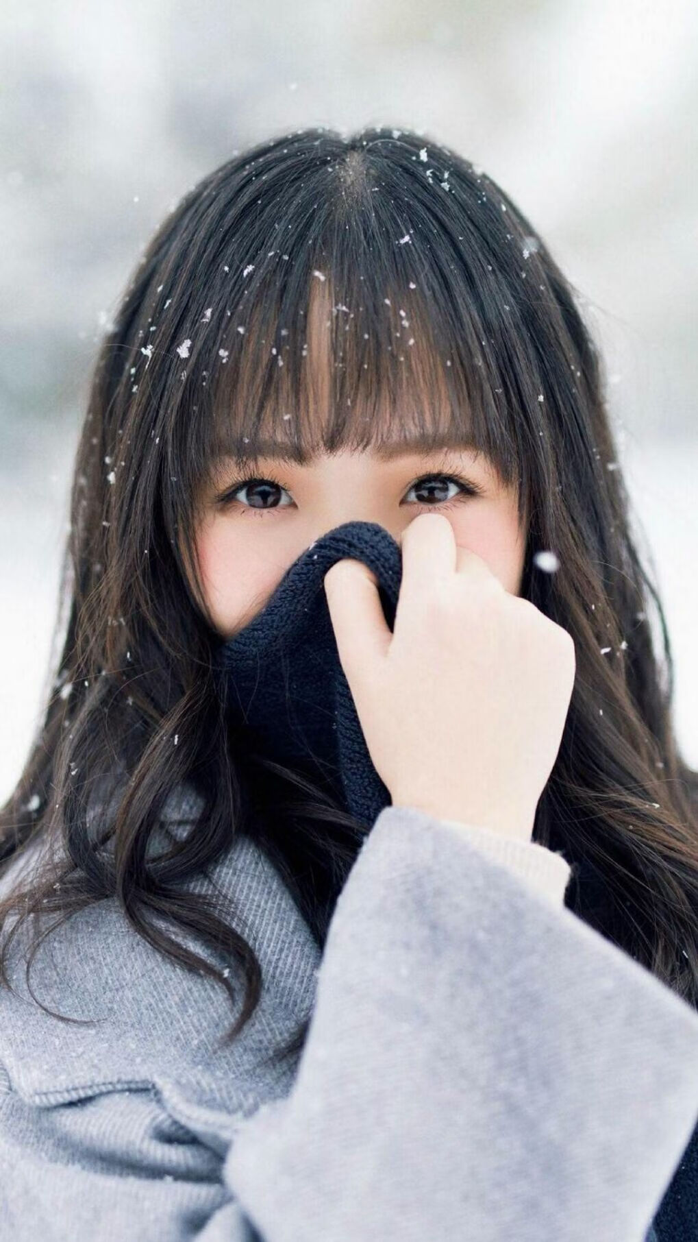 镜像之战,当马刺的字母哥遇见公牛的皮蓬