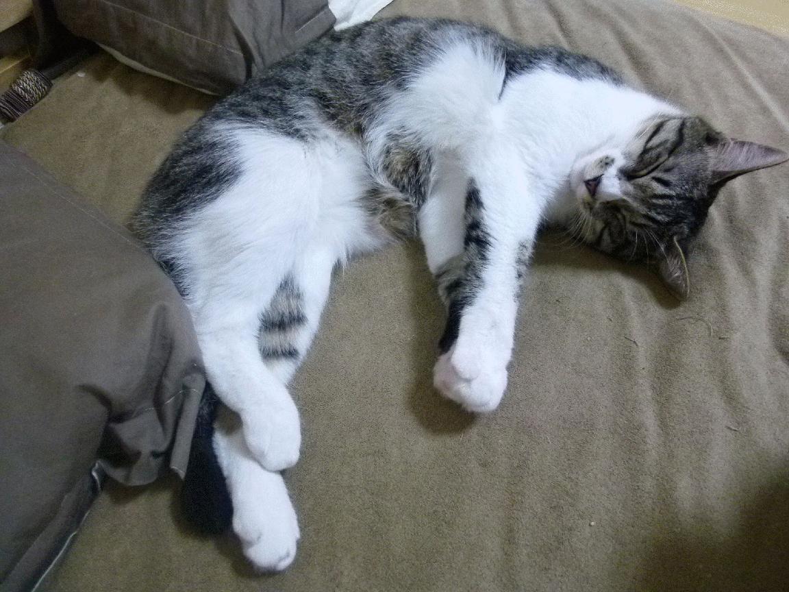 东部一夜双剧幕,无名之辈掀狂澜,沉默巨人终觉醒