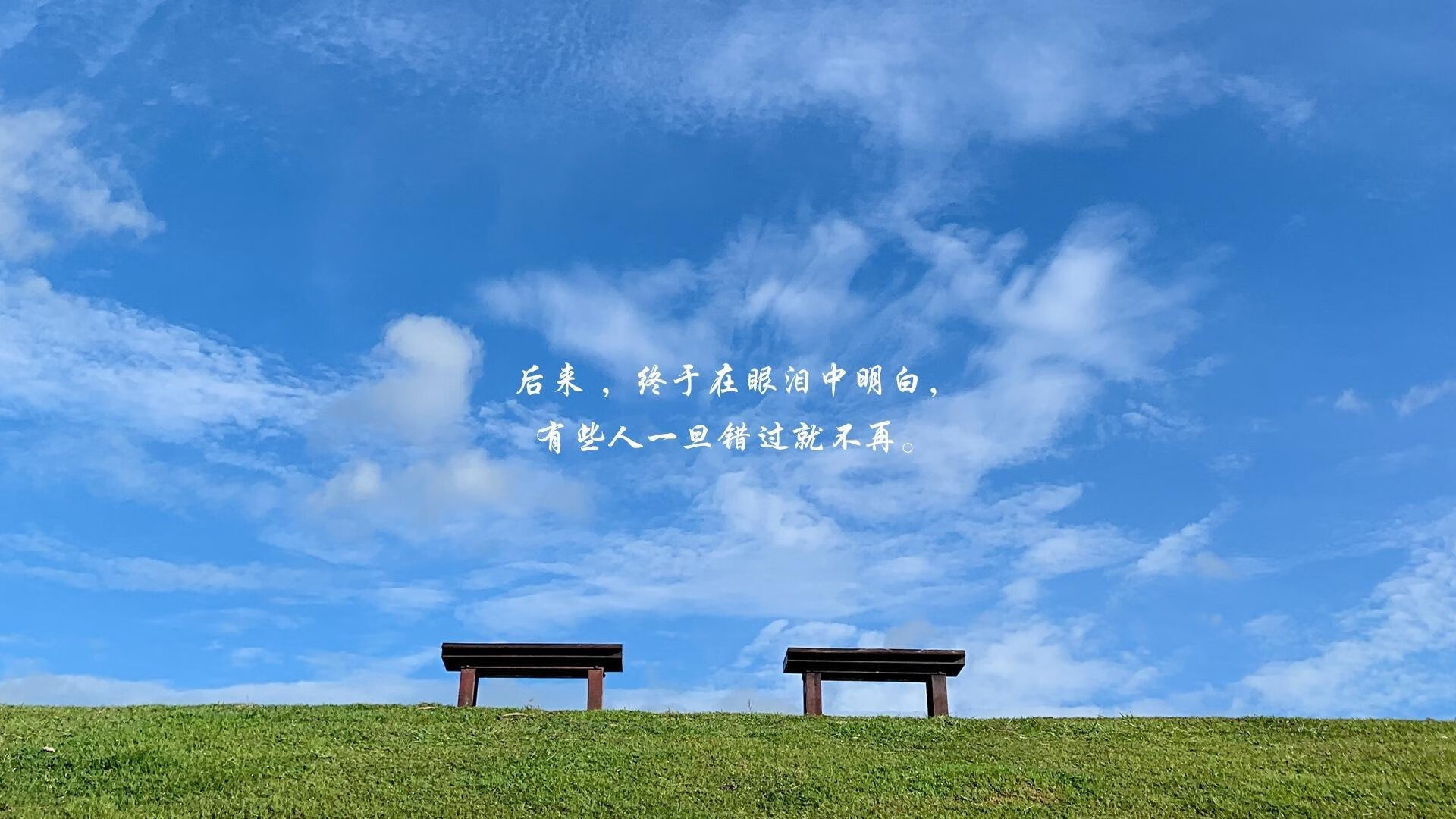 稳定输出！卢卡库助摩纳哥在生死战中击败委内瑞拉