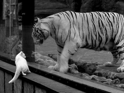 魔术斩落雷霆之夜，保罗在排名悬崖边接管世界的五分钟