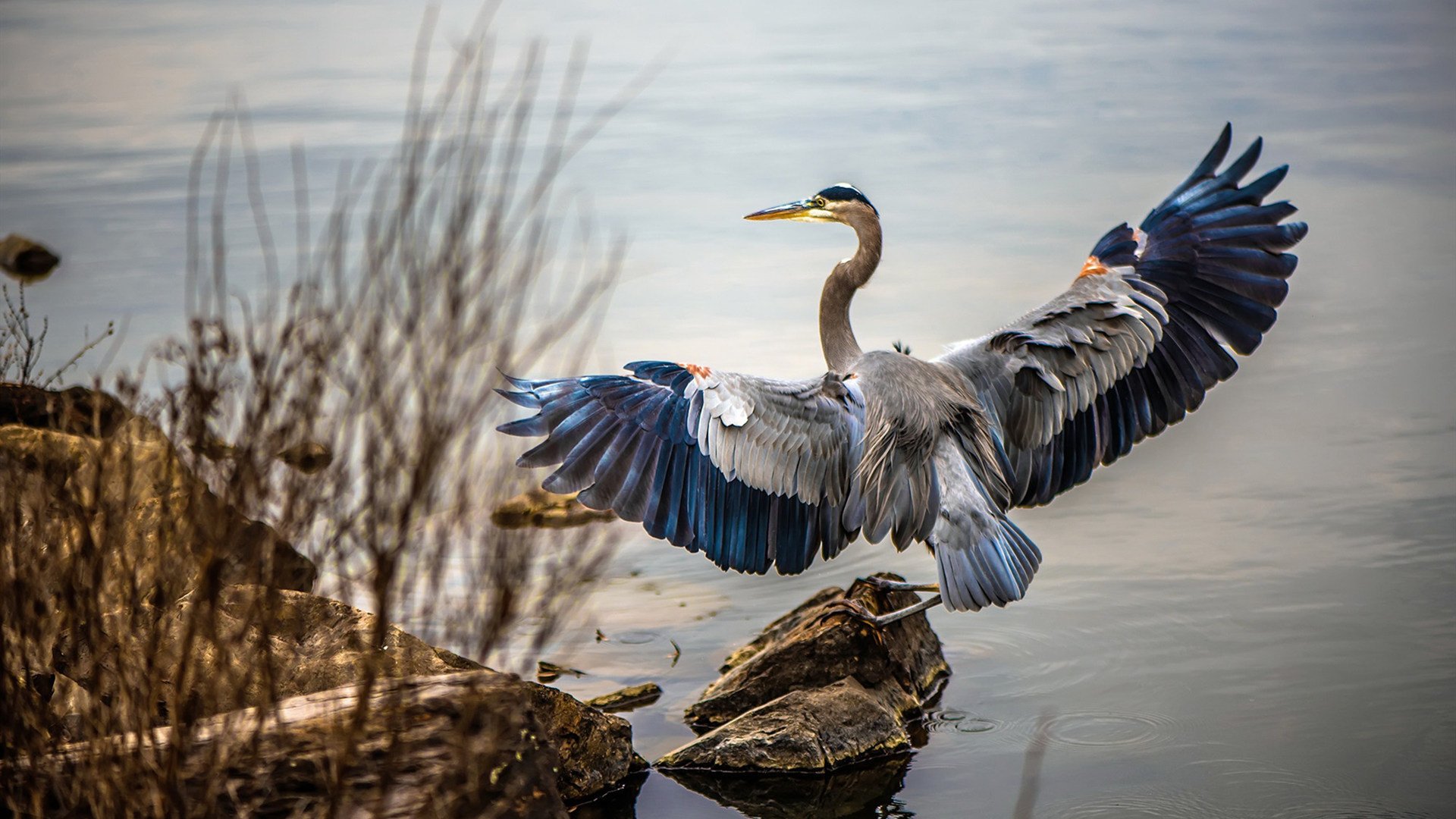 血雾中的雕像,当马刺的团队刀锋遇上无法破解的班凯罗代码