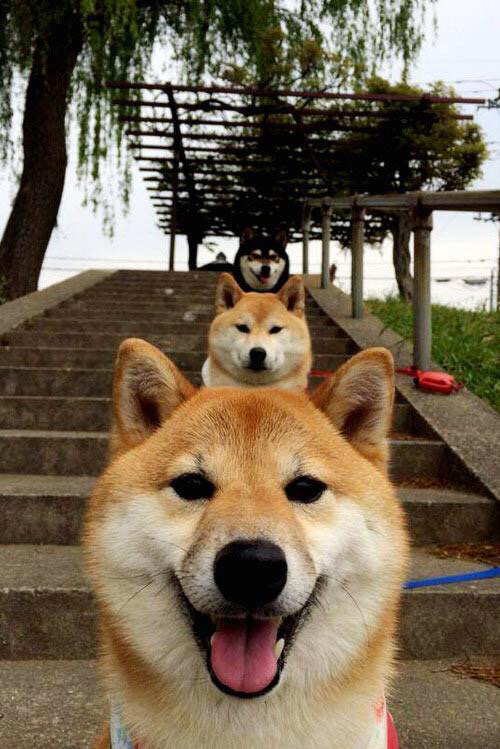 伊斯坦布尔的弯道，阿什拉夫在街道赛上，如何为土耳其跑赢一场地缘政治的超车？