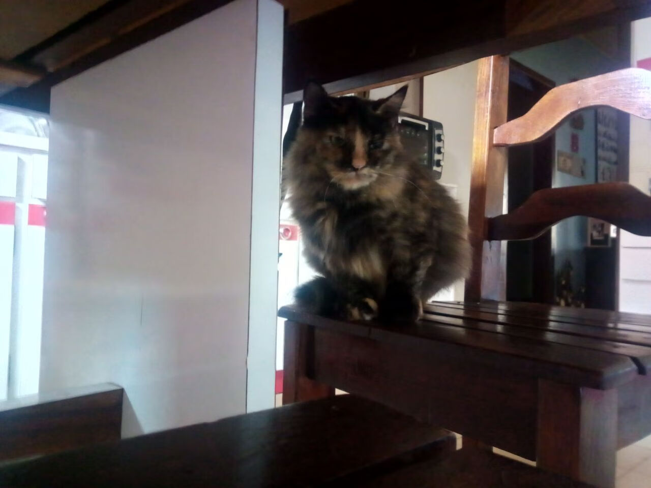 当非洲鼓点遇上德国战车，斯通斯一肩扛起两个世界的对话