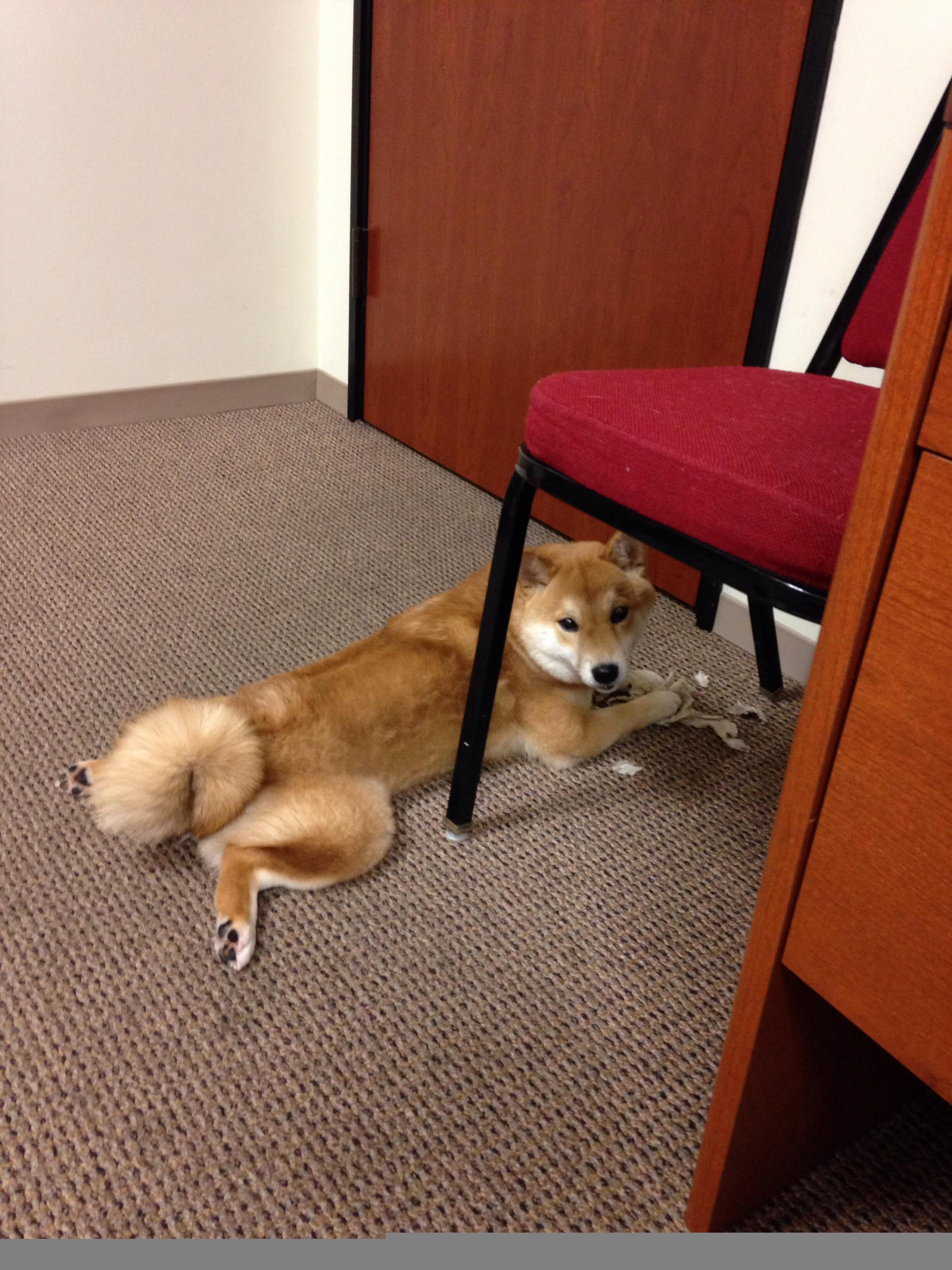 孤胆雄心！米切尔末节狂飙导演逆转，独行侠绝境翻盘开拓者