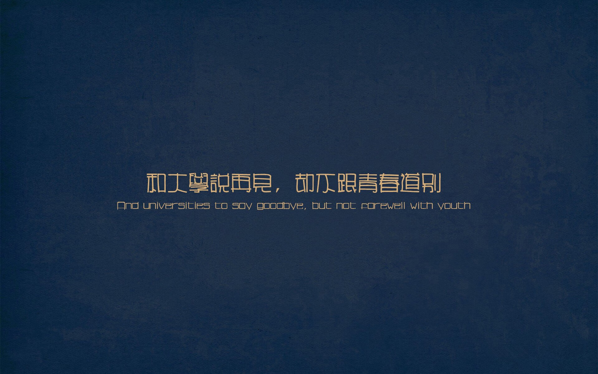 选项（供选择）