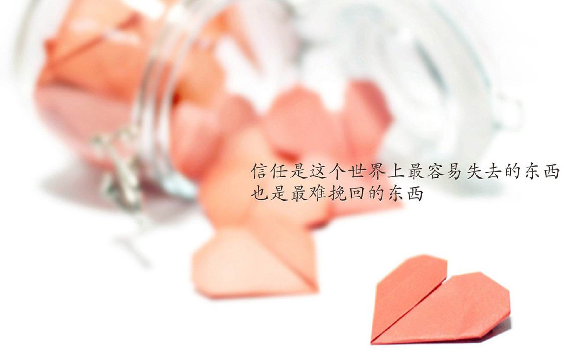 飞鹰的准绝杀与君主之心，当范弗利特成为萨克拉门托的定海神针