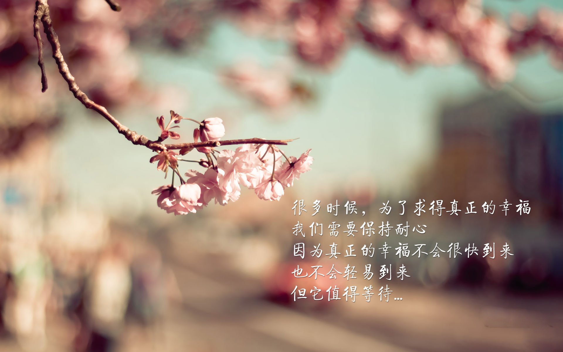 控场密码，利拉德的爆发与辽宁队的节奏—两种篮球哲学的时代烙印