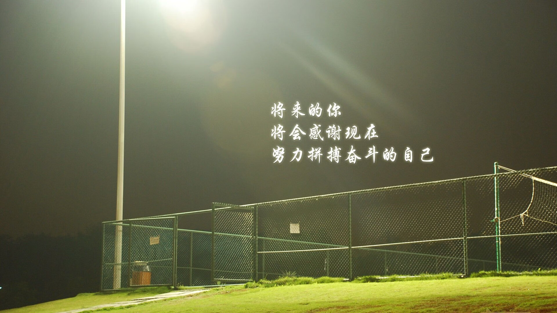 以下是为您创作的,符合要求的文章