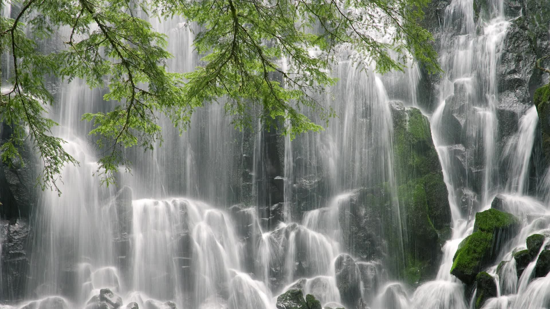 沙漠之狐的利刃，C组死亡之组，姆巴佩独舞难救主，突尼斯补时绝杀德意志战车